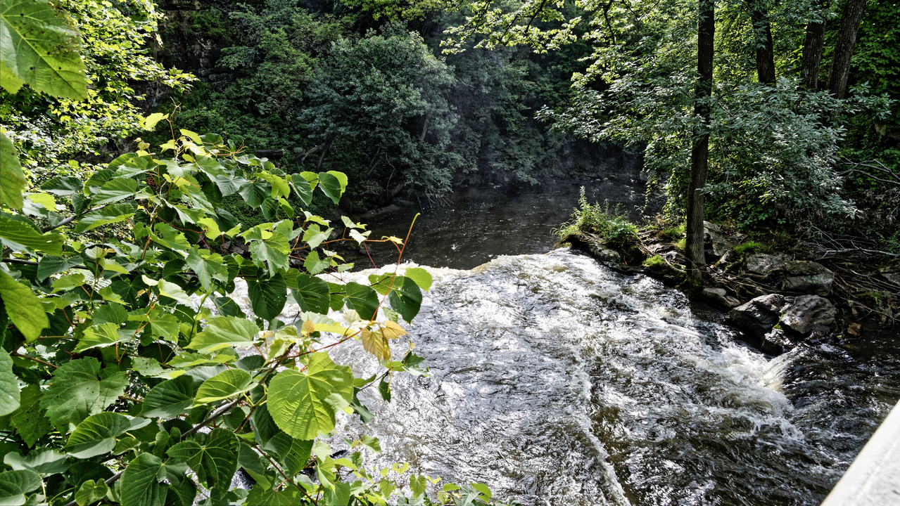 20190801-092545••North Mankato•Minnesota•USA